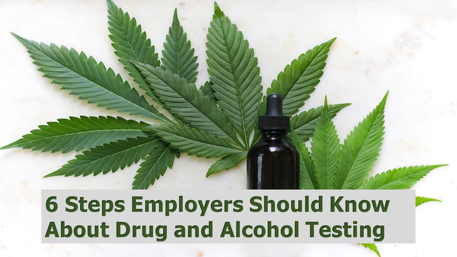 6 Steps Employers Should Know About Drug and Alcohol Testing